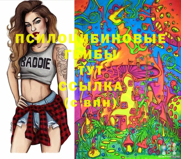 мяу мяу мука Новодвинск