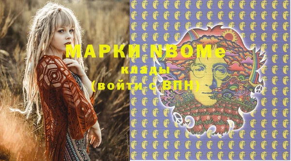 прущий лед Новозыбков