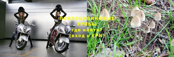 spice Новокубанск